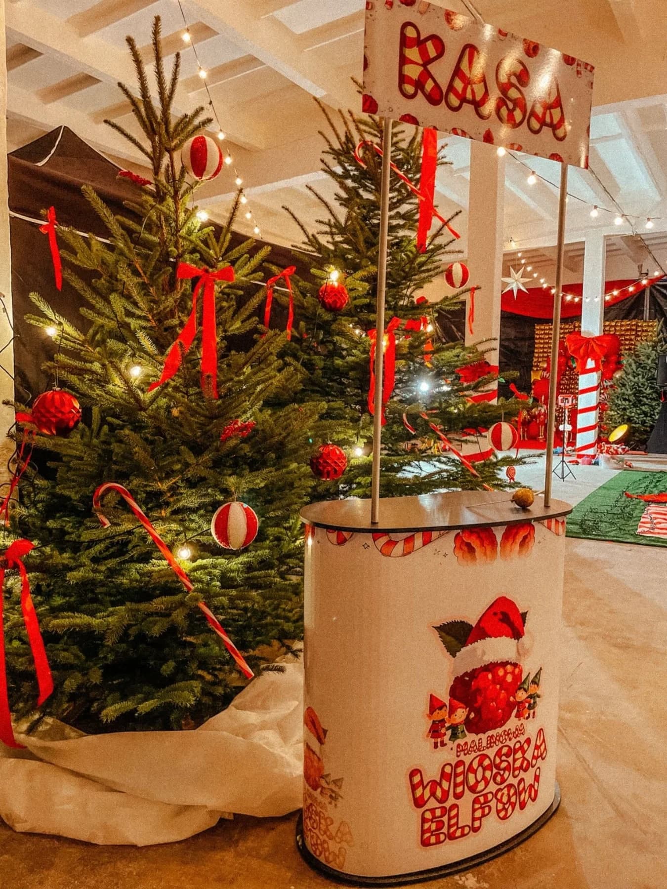 Malinowa Wioska Elfów 2026 - zdjęcie 4